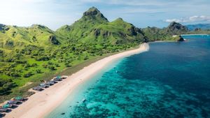 Liburan ke Komodo dari Lombok? Ini Tips Keselamatan yang Wajib Kamu Tahu