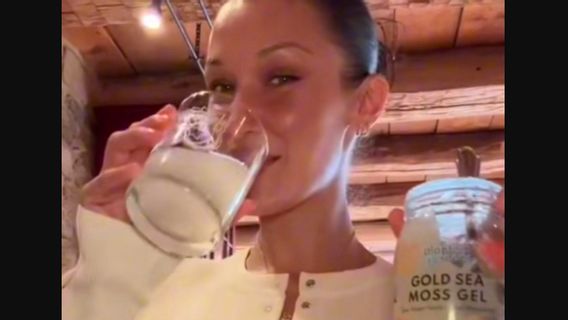 Sea Moss Gel Viral Usai Dikonsumsi Bella Hadid, Minuman Apa Itu?