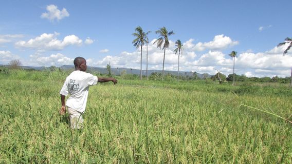 Tanzanie : Pas de signes d'épidémie de Marburg dans le pays