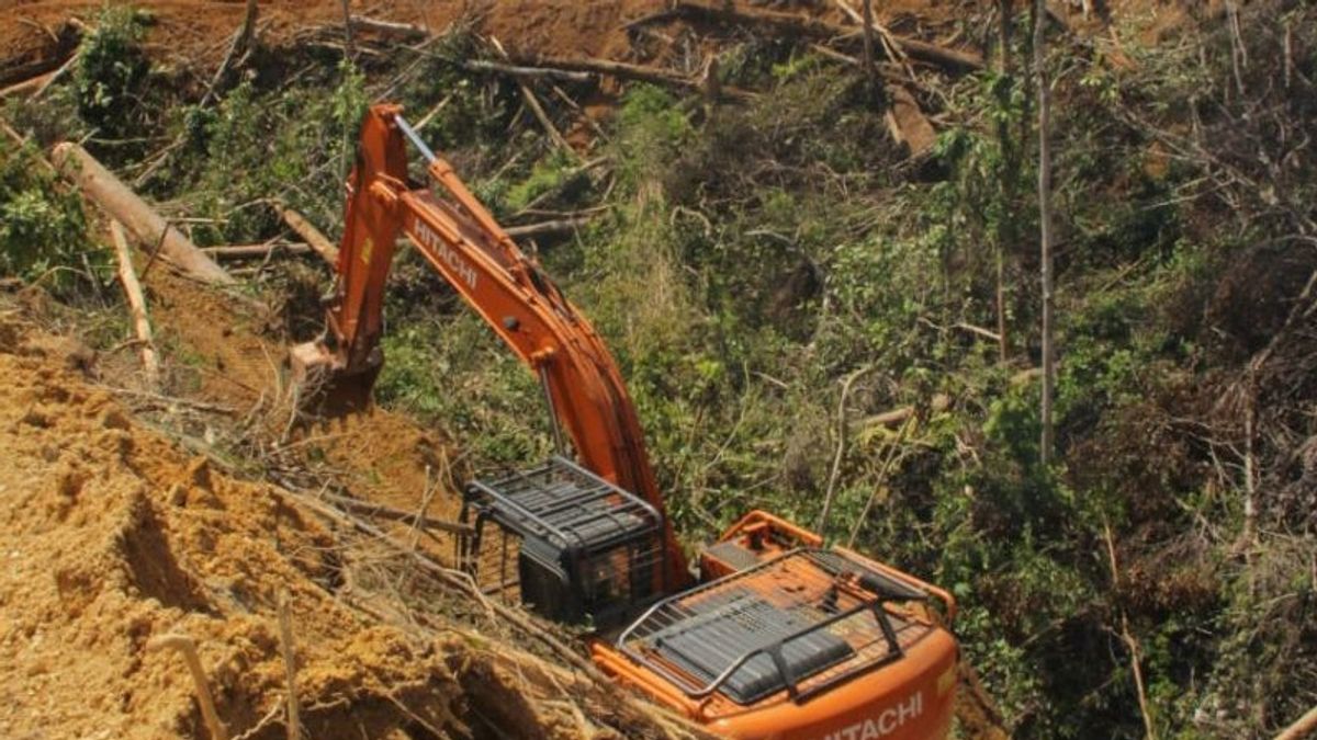 حكومة دالامي ريجنسي تقريرا عن موكوموكو DPRD يشتبه في تورطها في إضافة غابات غير قانونية