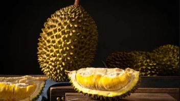 ムサンキングが2025年世界ドリアン選手権で世界チャンピオンに復帰