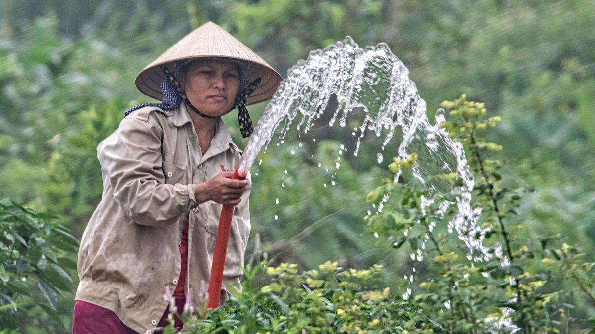 竞争力紧急状态,众议院称粮食主权的命运掌握在普拉博沃政府手中