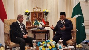 Prabowo Meets Pakistan's PM To Discuss Economic And Trade Cooperation