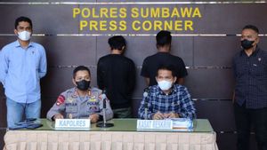 Polisi Amankan 2 Pelaku Penganiayaan Kucing dengan Petasan di Sumbawa
