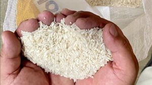 BPS Catat Rerata Harga Beras Penggilingan hingga Eceran Naik, Segini Besarannya