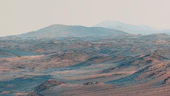 NASA的Perseverance太空船用AI完成了第一个火星探测任务