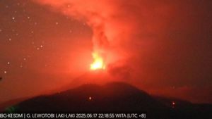 Aktivitas Gunung Lewotobi Laki-laki Masih Level IV