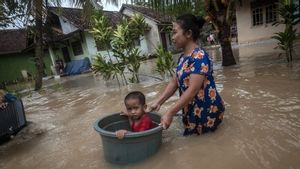 Lebih dari 4 Hari Terendam Banjir, 40 Hektare Sawah di Pandeglang Banten Gagal Panen 