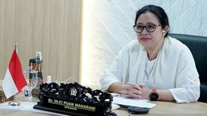 Puan Gencar Pasang Baliho Tapi Elektabilitas Rendah, Politikus PDIP: Dia Sudah Terkenal