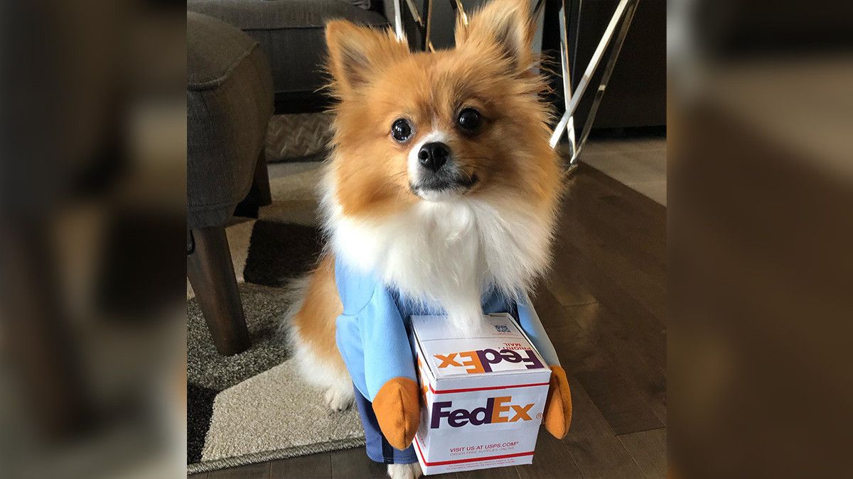 Fitur Baru, FedEx Foto Paket di Depan Rumah untuk Buktikan Barang Sudah Sampai