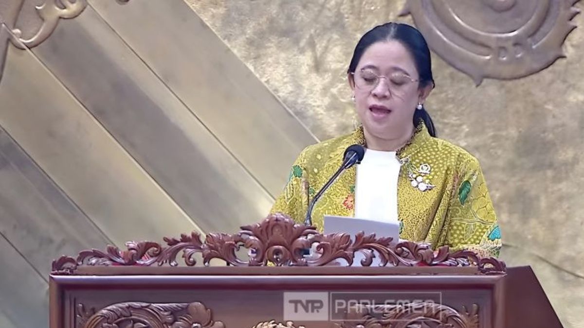 Puan Nilai Putusan MK Soal Keterwakilan Perempuan di AKD Sejalan dengan Isu Kesetaraan Gender
