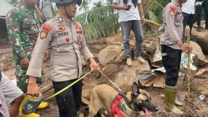 Polri Kerahkan Tim Anjing Pelacak Cari Korban Longsor Ternate