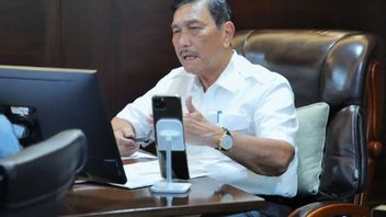 The Reason Luhut Hires Foreign Mandor: So Here's The Reason