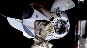 Astronot yang Baru Tiba di ISS Ungkap Pengalaman Menunggangi Crew Dragon