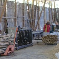 Bambu Tingkatkan Kualitas Ekonomi dan Lingkungan Hidup di NTT