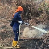 57,7 Hektare Karhutla Melanda Aceh Barat, 41,4 Hektare Berhasil Ditangani