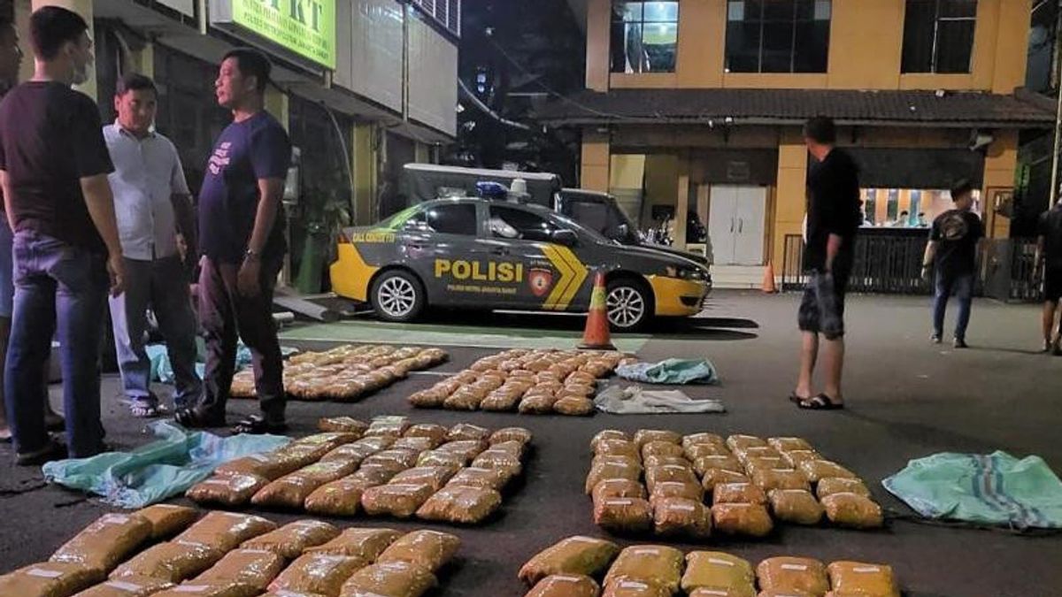 Ratusan Kilogram Ganja Kering Ada di Polres Jakarta Barat, Polisi Sebut Hasil Penangkapan Jaringan Sumatera - Jawa