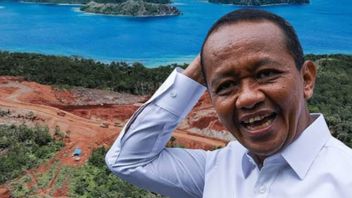 In Accordance With The Constitutional Court's Decision, The Ministry Of Energy And Mineral Resources Evaluates Mines On The Small Islands Of Raja Ampat