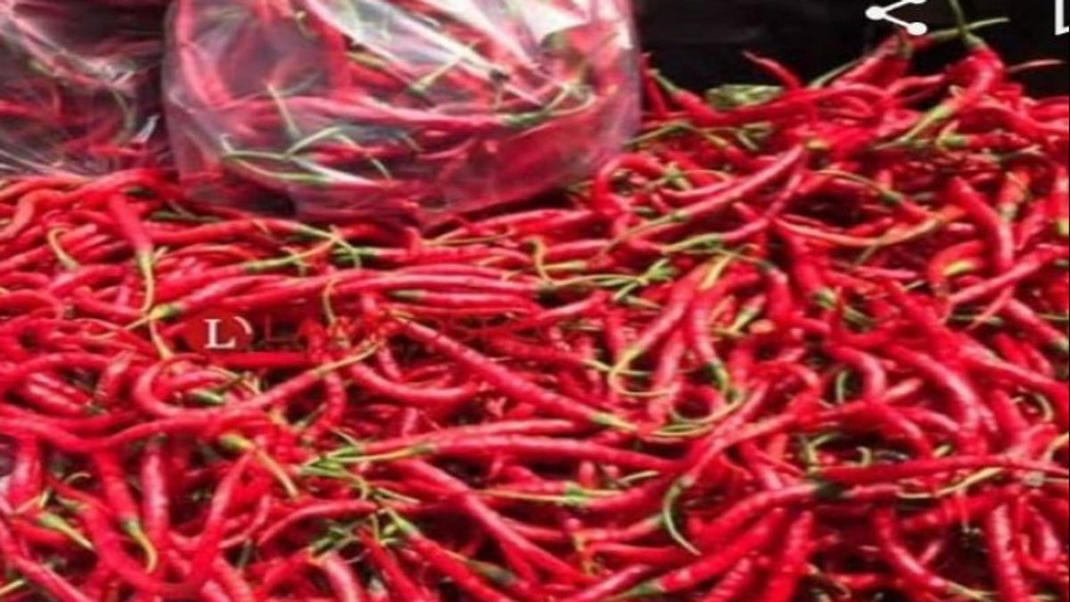 The Price Of Red Chili In North Sumatra Is Still 'extra Spicy', Staying At IDR 90-100 Thousand