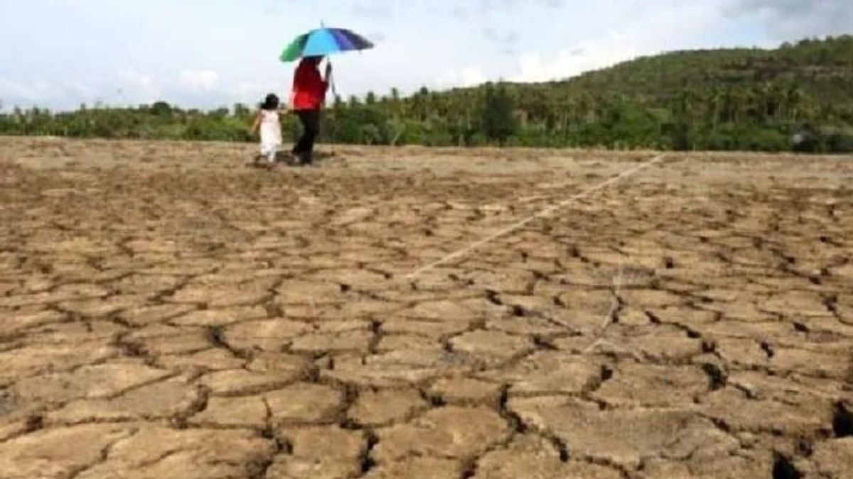 End Of April, Eight Percent Of Regions In Indonesia Have Entered A Dry Season