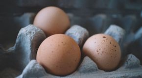 Ciri-ciri Telur Ayam yang Sehat dan Baik untuk Dikonsumsi, Kenali Sebelum Membeli