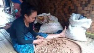 Kencur dan Jahe Jadi Penopang Ekonomi Badui, Pertanian Ladang Terus Digencarkan