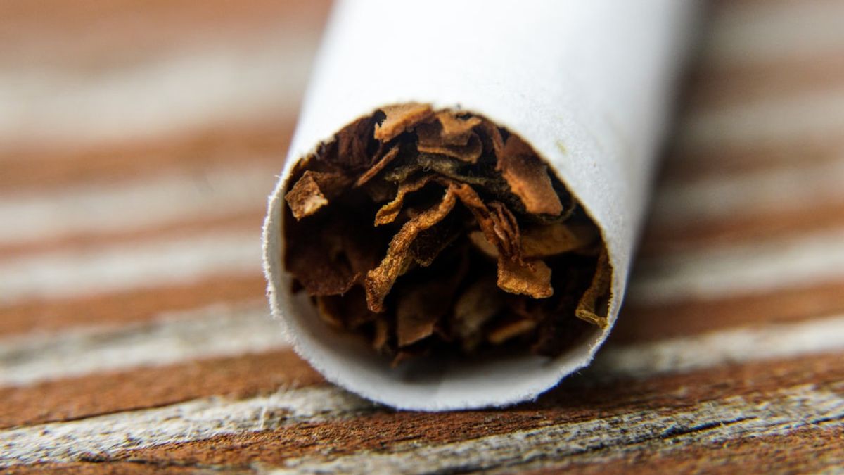 希望政府关注烟草制品行业的未来
