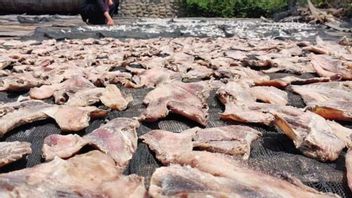 Produksi Ikan Asing Aceh Timur Rendah, Harga Meroket