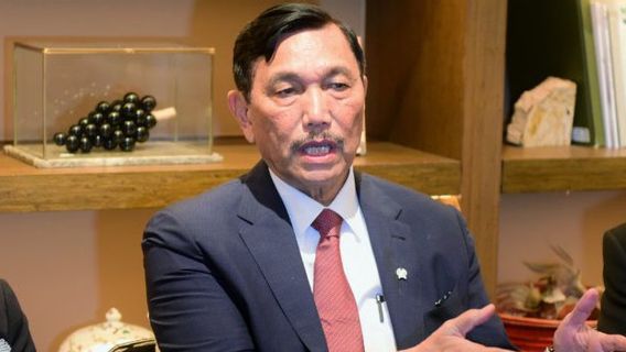 Larang Mudik Lebaran 2021, Luhut: Kita Tidak Punya Banyak Pilihan, Jangan Sampai Kasus Naik 30 Persen