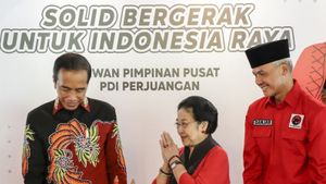 Prediksi Pengamat: Bakal Muncul Tiga atau Empat Koalisi Pasca Ganjar Pranowo Dicapreskan PDIP