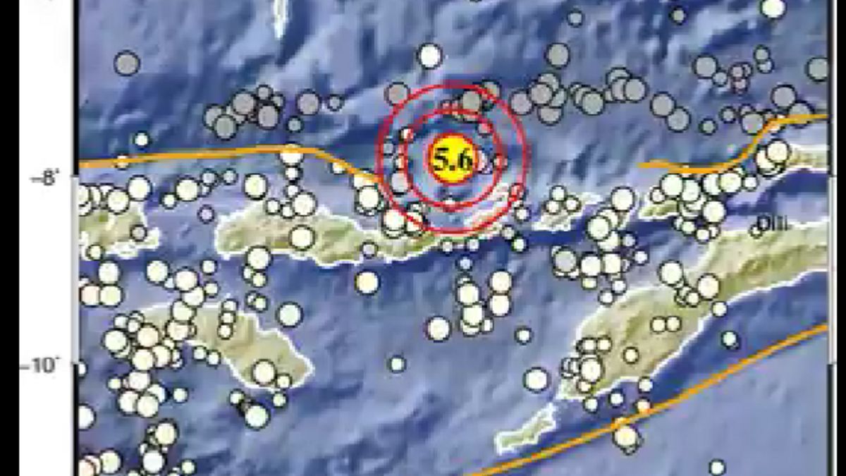 Selang 21 Menit Kemudian, Gempa Magnitudo 5,6 Guncang Lagi NTT