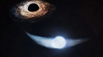 NASA Telescope Observes Black Hole 'Eat' Schedule