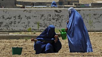 Taliban Larang Pekerja Perempuan, PBB Tutup Delapan Pusat Bantuan