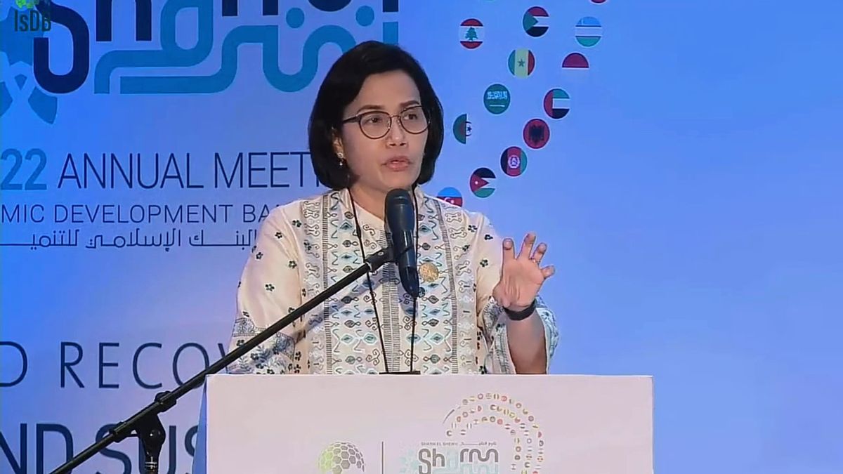 Attracting Singaporean Entrepreneurs, Sri Mulyani Affirms Government's Commitment To Equalize Development