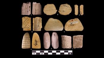 New Study Says Oldest Dice Came From North America