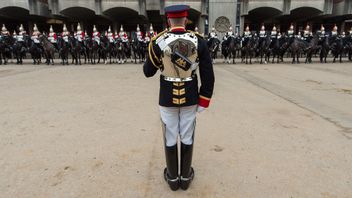 British Royal Household Cavalry Soldier Fainted Ahead Of Hero's Day Commemoration