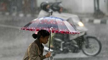 Hari Ini Diprediksi Cuaca Jawa Barat, Banten, Jawa Tengah Hingga Sumsel Dilanda Hujan  