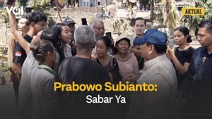 Presiden Prabowo Dengarkan Kisah Warga Bali Diselamatkan Anjing Saat Banjir