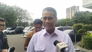 Mentan Amran Klaim Stok Beras 3,4 Juta Ton, Target 4 Juta Ton Maret: “Serapan Dipercepat”