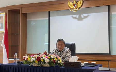 Tanggapi Ormas yang Tolak Kelola Tambang, Menteri ESDM: Bakal Dilelang