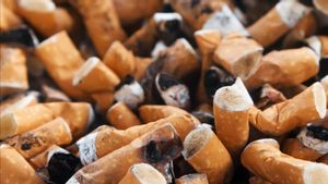 Bea Cukai Kudus Musnahkan 5 juta Batang Rokok Ilegal dengan Bobot Capai 8,4 Ton