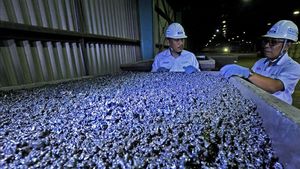 Increase Added Value, MIND ID Takes ADVANTAGE Of HPAL Encourages Low Nickel Downstream Emissions