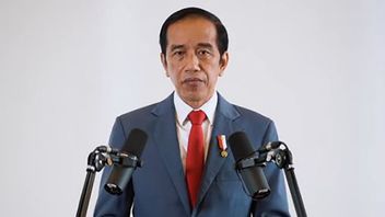 Jokowi Resmikan Operasional Kawasan Industri Terpadu Batang, Nilai Investasinya Rp14 Triliun