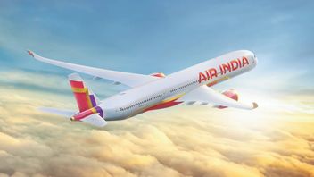 印度航空公布了一款受Cakra启发的新外观,将于12月开始使用