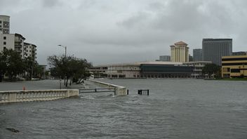 Badai Idalia Terjang Florida: 500 Ribu Pelanggan Kehilangan Aliran Listrik, Banjir Genangi Jalan dan Permukiman