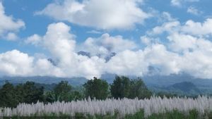 Mount Raung Eruption Ash Colon Reaches 750 Meters, Residents Are Asked Not To Approach