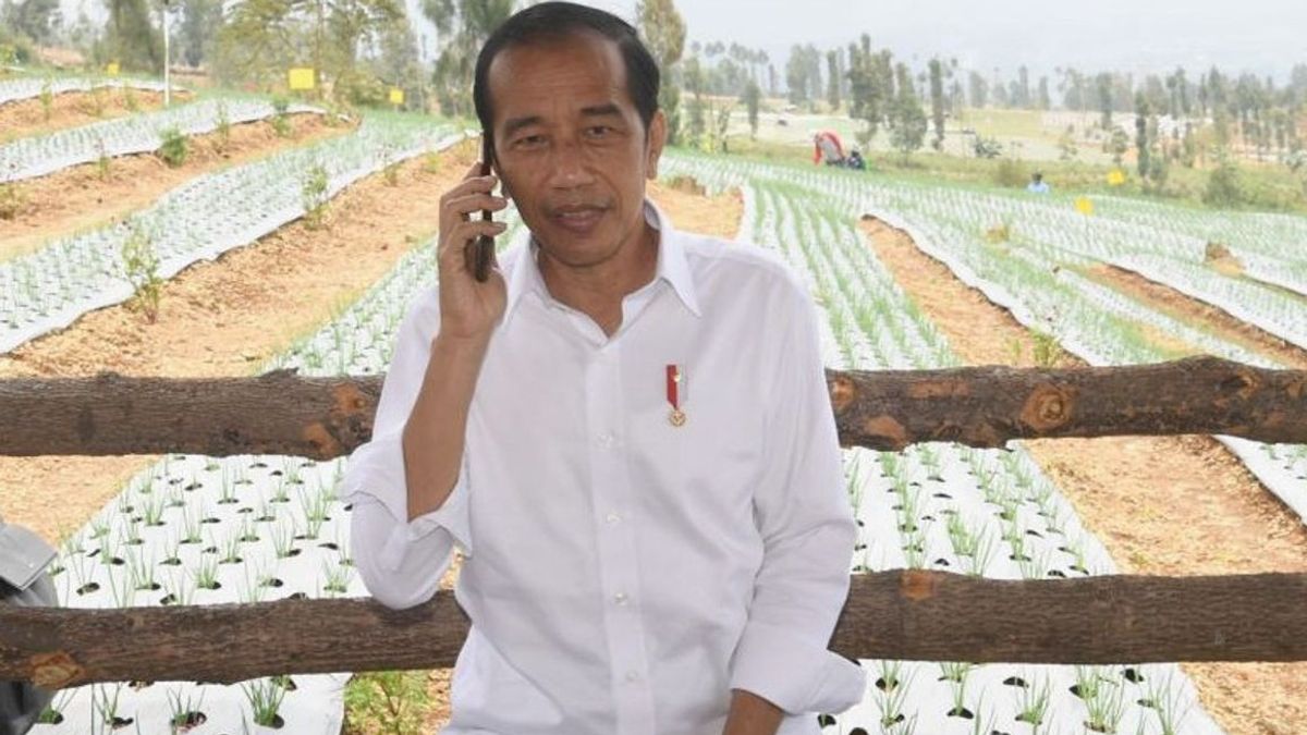 Food Estate Efforts To Improve Welfare Of Temanggung Farmers, Jokowi Gives Support