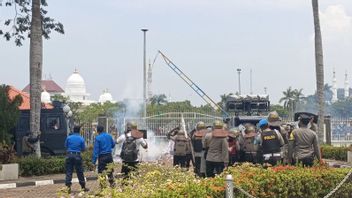 Demo Tolak Kawasan Rempang di BP Batam Ricuh, Warga Lemparkan Batu, Kayu dan Molotov 