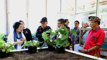 Megawatiは、インドネシアの植物種子が外国への取引を防ぐために詳細に記録されることを望んでいます