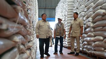 Le professeur de l'IPB assure que les données sur le riz du gouvernement sont valables, le président Sidak prouve que les entrepôts de Bulog sont pleins